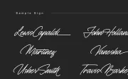Monosign - Monoline Signature Font