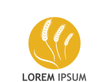 Organic wheat farm logo template. preview picture