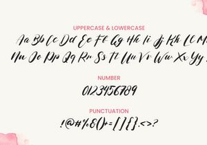 Mellyani - Classic Handwritten Typeface
