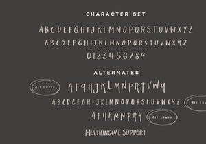 Salting - Handwritten Font