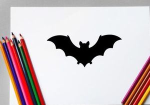 Silhouette of a Bat in Flight for Halloween or Nighttime Themes