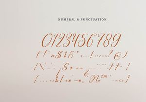 Celtaniya Bioffany | Calligraphy Script