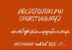 Natureal Script - Elegant Font