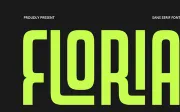 Floria - Display Font