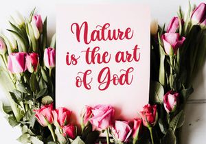 Butterfly - Lovely Calligraphy Font