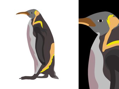 Penguins Vector Bundle