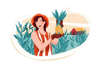 Renewable Energy Illustrations