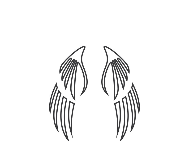 wing Logo Template vector illustration design