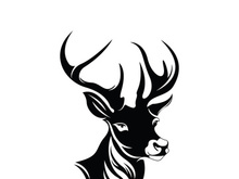 Deer logo template vector icon illustration design