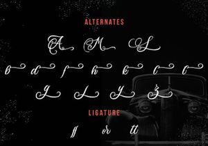 Daisuky Fancy - Tatto Script Font