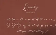 Free Brisely Handwritten Font
