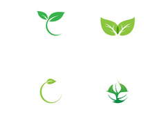 Natural green leaf logo
