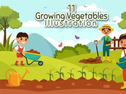11 Growing Vegetables Illustration