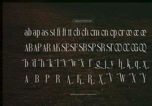 Arkvell | Modern Display Serif