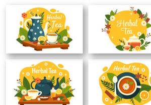 8 Herbal Tea Illustration