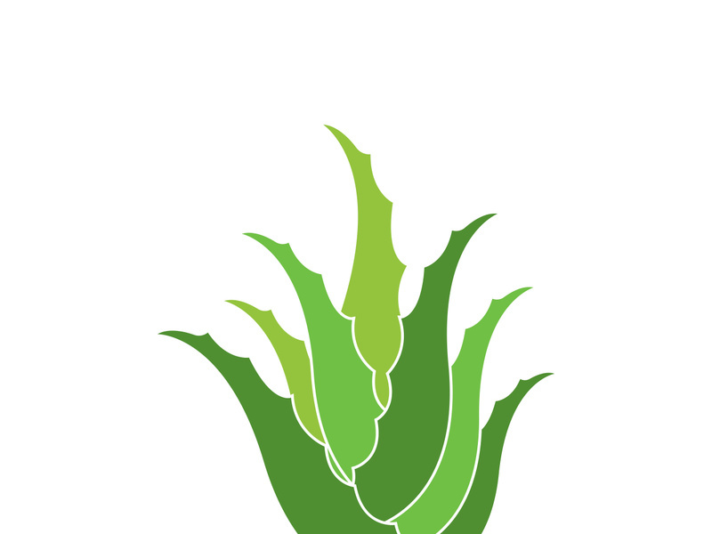 Aloe Vera logo icon design symbol beauty skin care