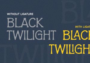 Prologue - Rough Serif