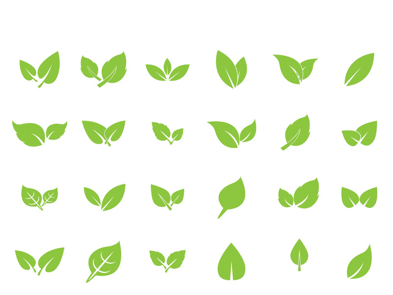 Leaf logo vector icon design template