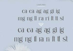 Granger Ligature Serif Typeface