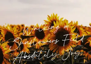 Virgi Theory - Handwritten Font
