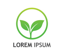 Natural green leaf logo design.