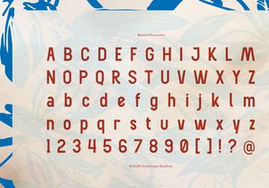 Herald Town | Vintage Sans Serif