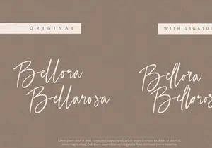 Selestia Signature - Handwritten Font
