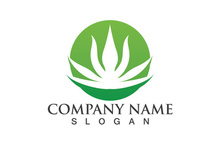Aloe vera logo vector ilustration template