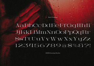 Prostetrix | Serif Typeface