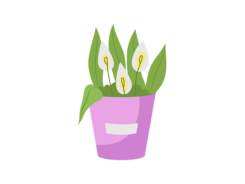 Calla lilies flower arrangement semi flat color vector object