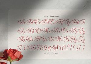 Sabrysoul | Beauty Calligraphy Script