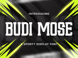 Budi Mose - Sporty Display Font preview picture