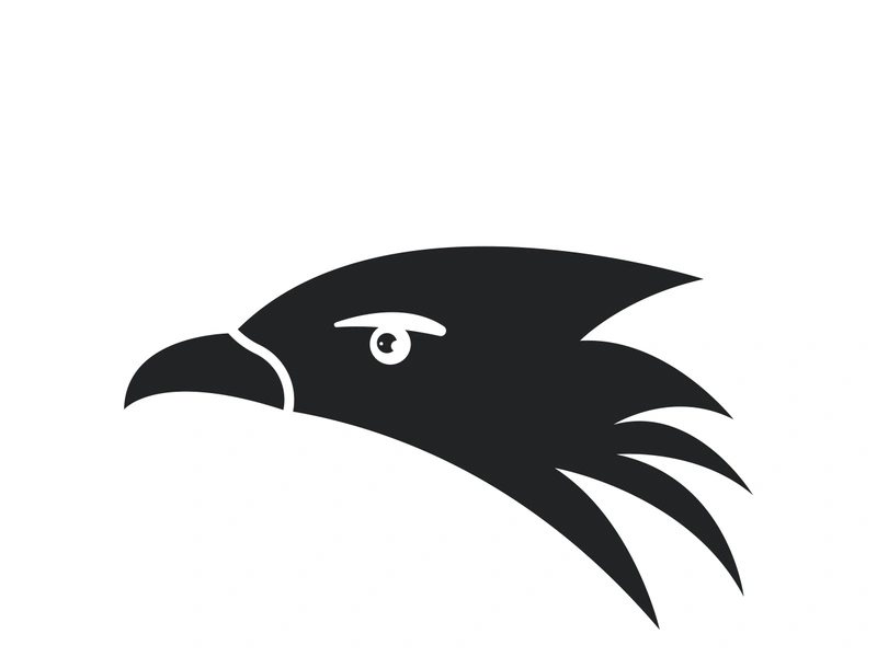 Falcon logo template vector illustration design