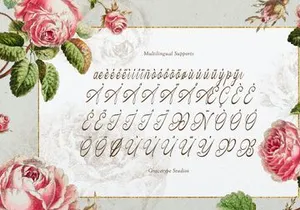 Hauliot Roisy | Handwritten Romantic Font