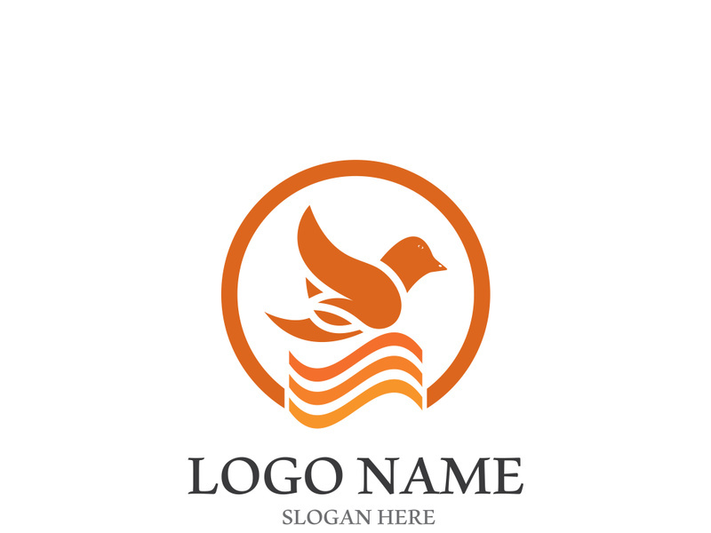 Dove bird logo vector design illustration