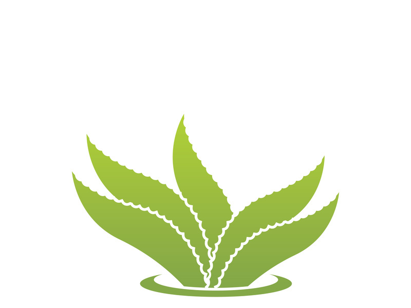 Aloe Vera logo icon design symbol beauty skin care