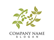 Extra virgin olive oil logo icon design vector illustration