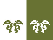 olive icon vector illustration design template