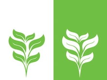 Logos of green tree leaf ecology nature element vector