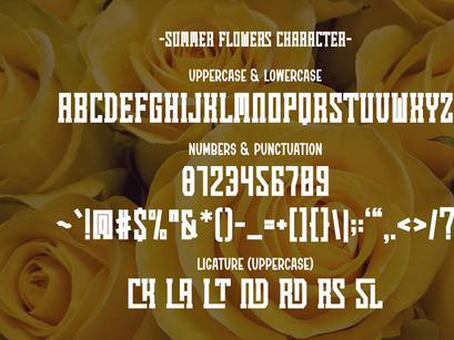 Summer Flower - Vintage Slab Serif