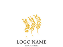 Wheat logo vector icon illustration design
