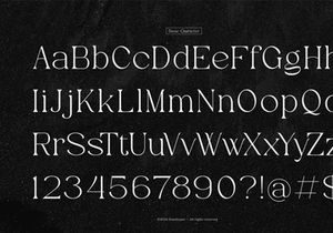 Evoxsy | Elegant Serif
