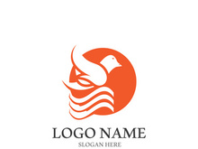Dove bird logo vector design illustration