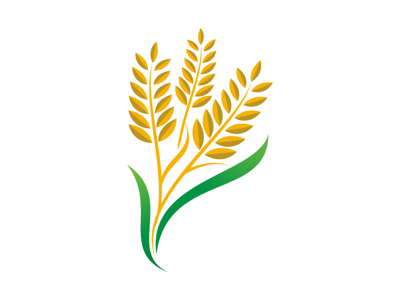 Agriculture wheat rice icon illustration