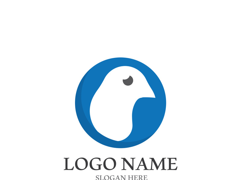 Dove bird logo vector design illustration