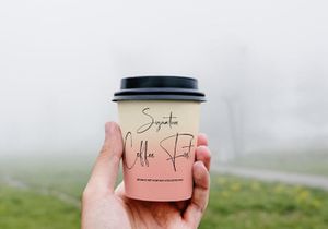 Martin Zidan - Signature Script Font