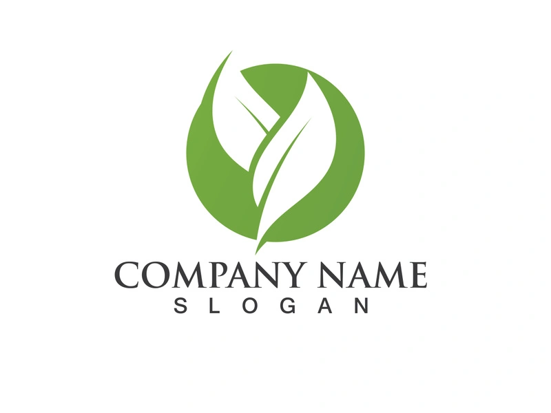 Green leaf logo Vector