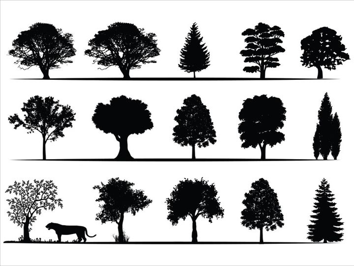 Trees Silhouettes Collection