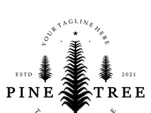 simple pine or fir tree logo,evergreen.for pine forest,adventurers,camping,nature,badges and business.vector