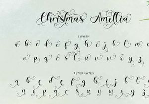 Christmas Amellia